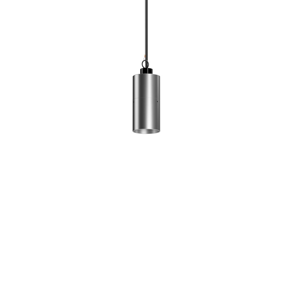 NITE STAR - Ceiling Mount - Low Voltage - LED High-Power - Pendant Mount - Wildlife Friendly