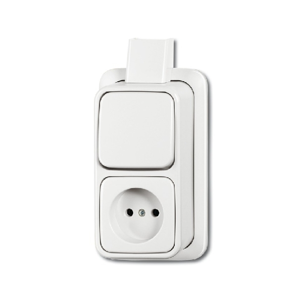 schakelaar-met-stopcontact-opbouw-wit-2601-6-2300-apjw-combinatie-bj