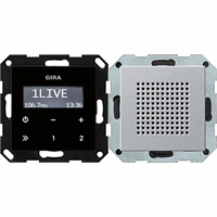 Gira | inbouwradio RDS | Systeem 55 ANTR | 228405