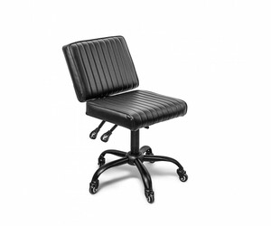 Professional - Hybrix - Artist Chair