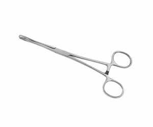 Skin Piercing Tools - Forceps Sponge - Sans Fente
