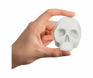 Dragonhawk - Mini Tattoo Practice Skull