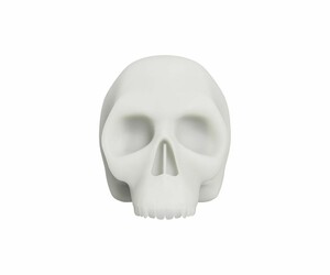 Dragonhawk - Mini Tattoo Practice Skull