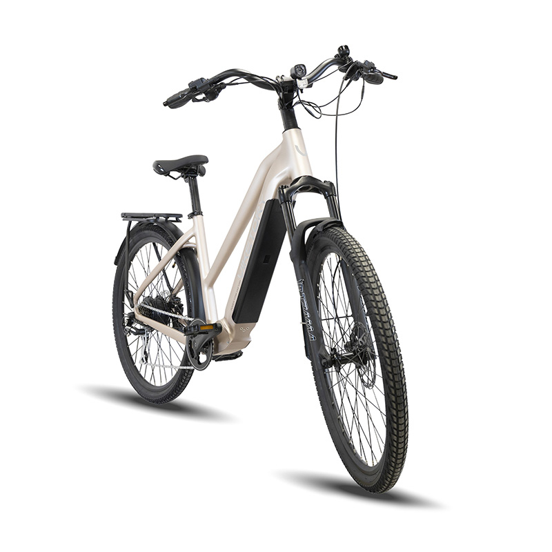 ARENOX +Plus ebike URBAN Perlado - RuedaQrueda