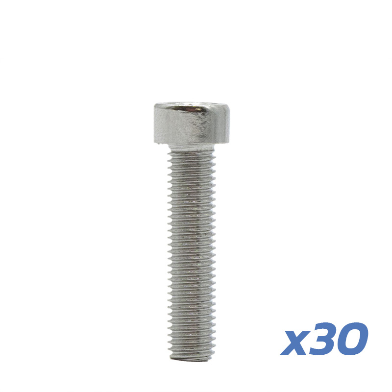 Tornillo Llanta DUALTRON MINI 30 UNDS - RuedaQrueda