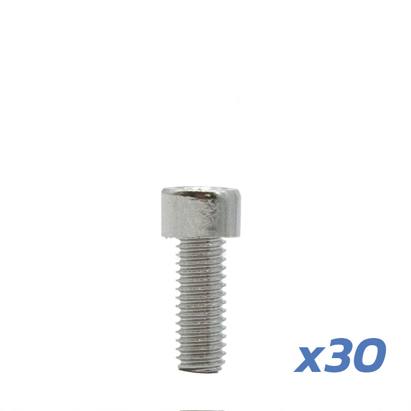Tornillo Guardabarro DUALTRON 30 UNDS - RuedaQrueda