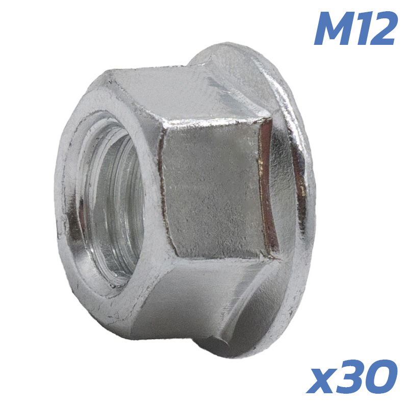 Tuercas Eje Motor DUALTRON M12 - 30 UNDS - RuedaQrueda