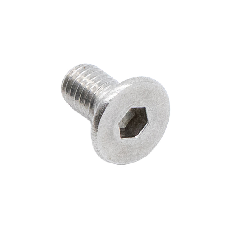 Tornillos bisagra dualtron inox 10 Uds - RuedaQrueda