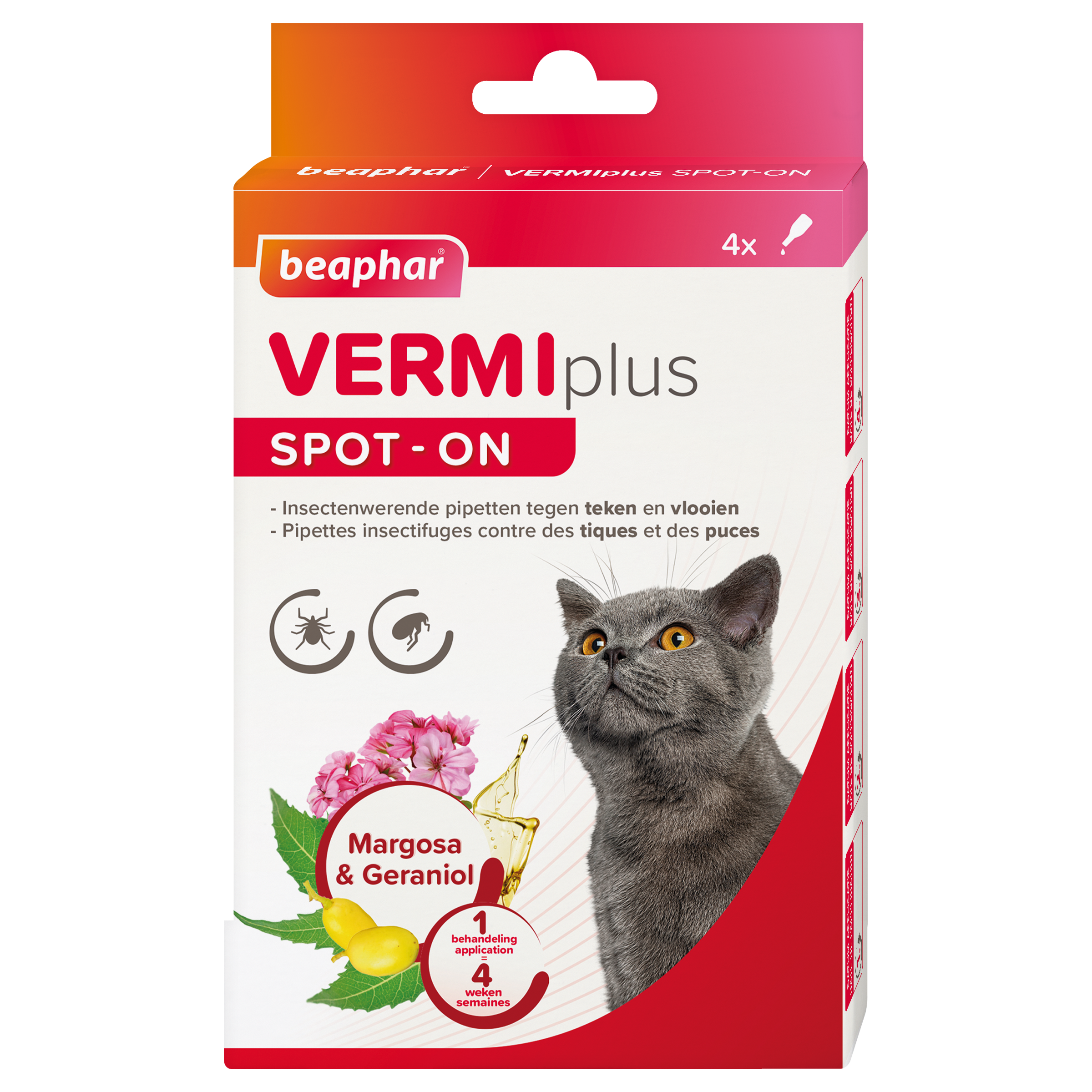 Vermiplus Spot-On Chat 4x0,6ml