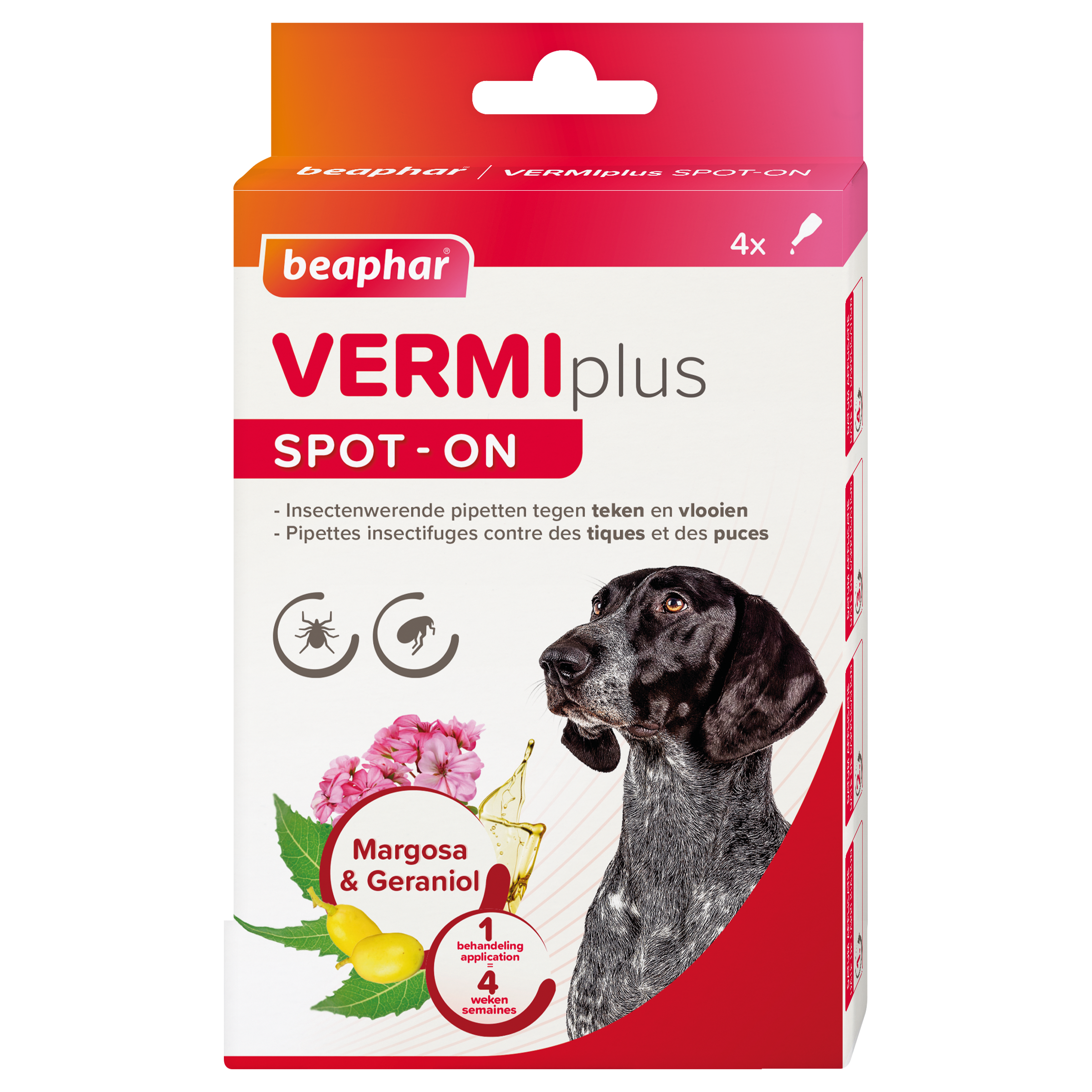 Vermiplus Spot-On Chien 4x1ml