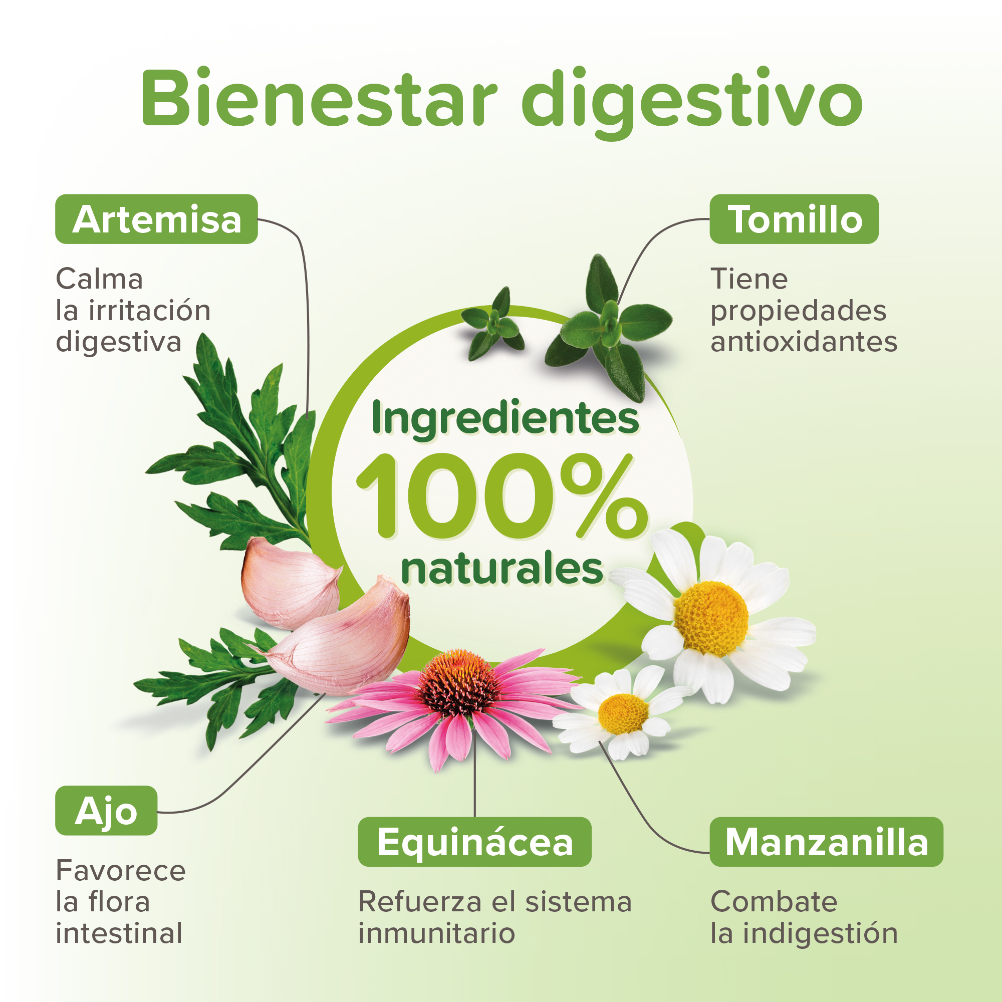 Beaphar VERMIpure Comprimidos Naturales Gatos y Gatitos - 50 Comprimidos