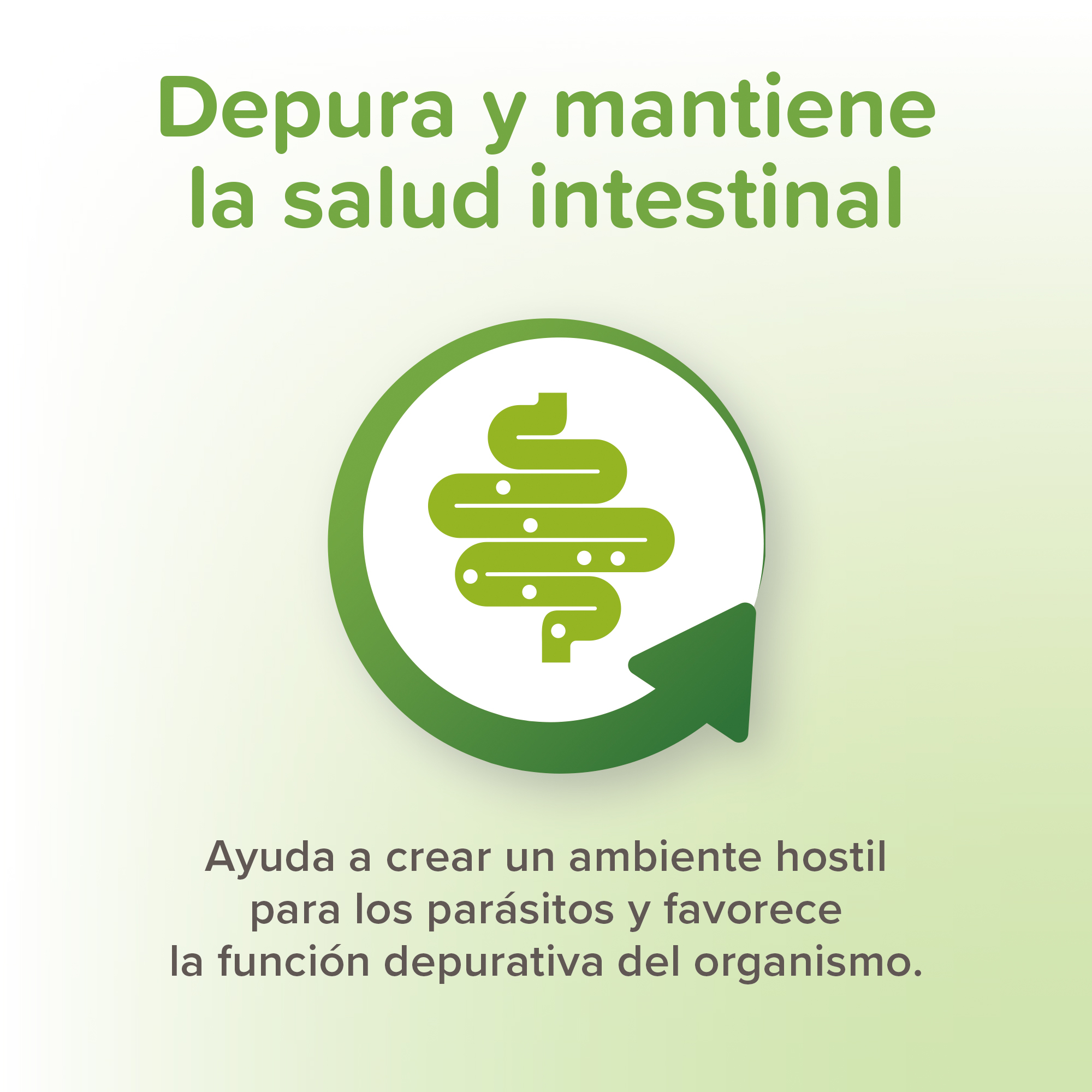 Beaphar VERMIpure Comprimidos Naturales Perros Pequeños