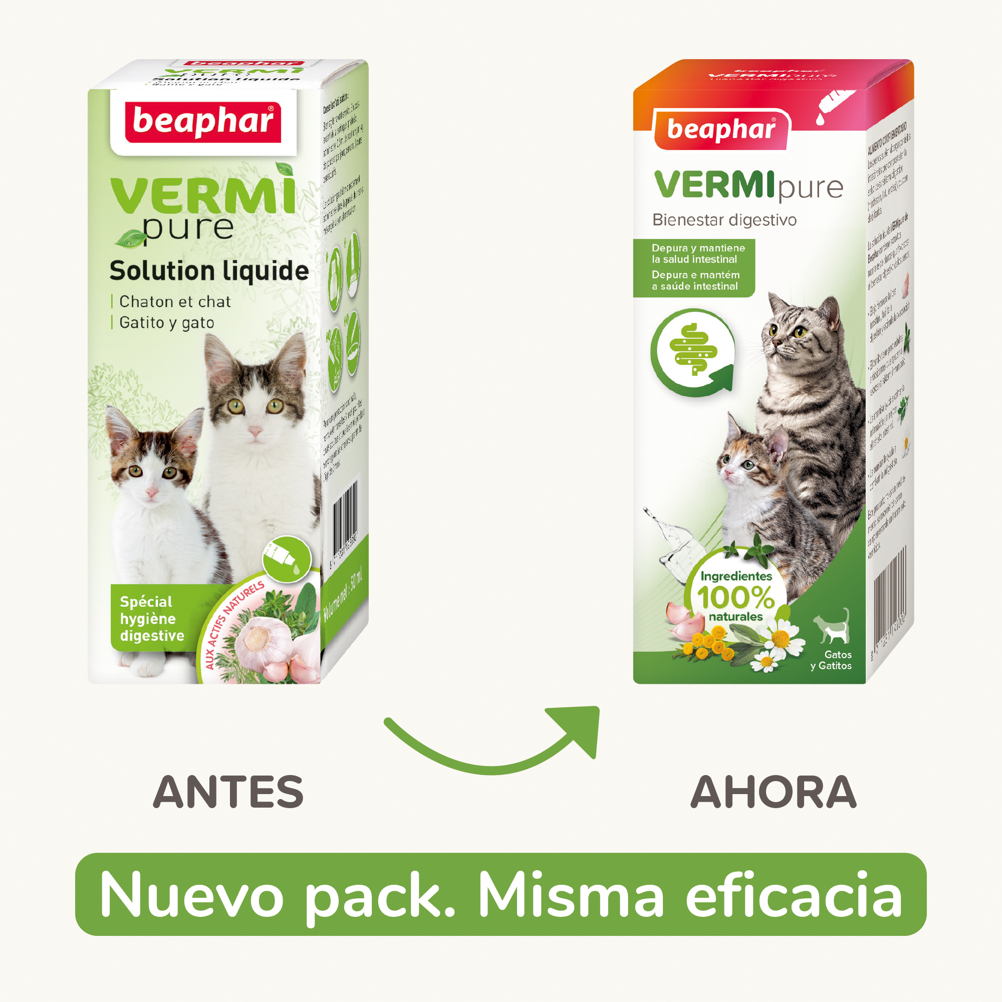 Beaphar VERMIpure Solución Líquida Natural Gatos y Gatitos - 50ml