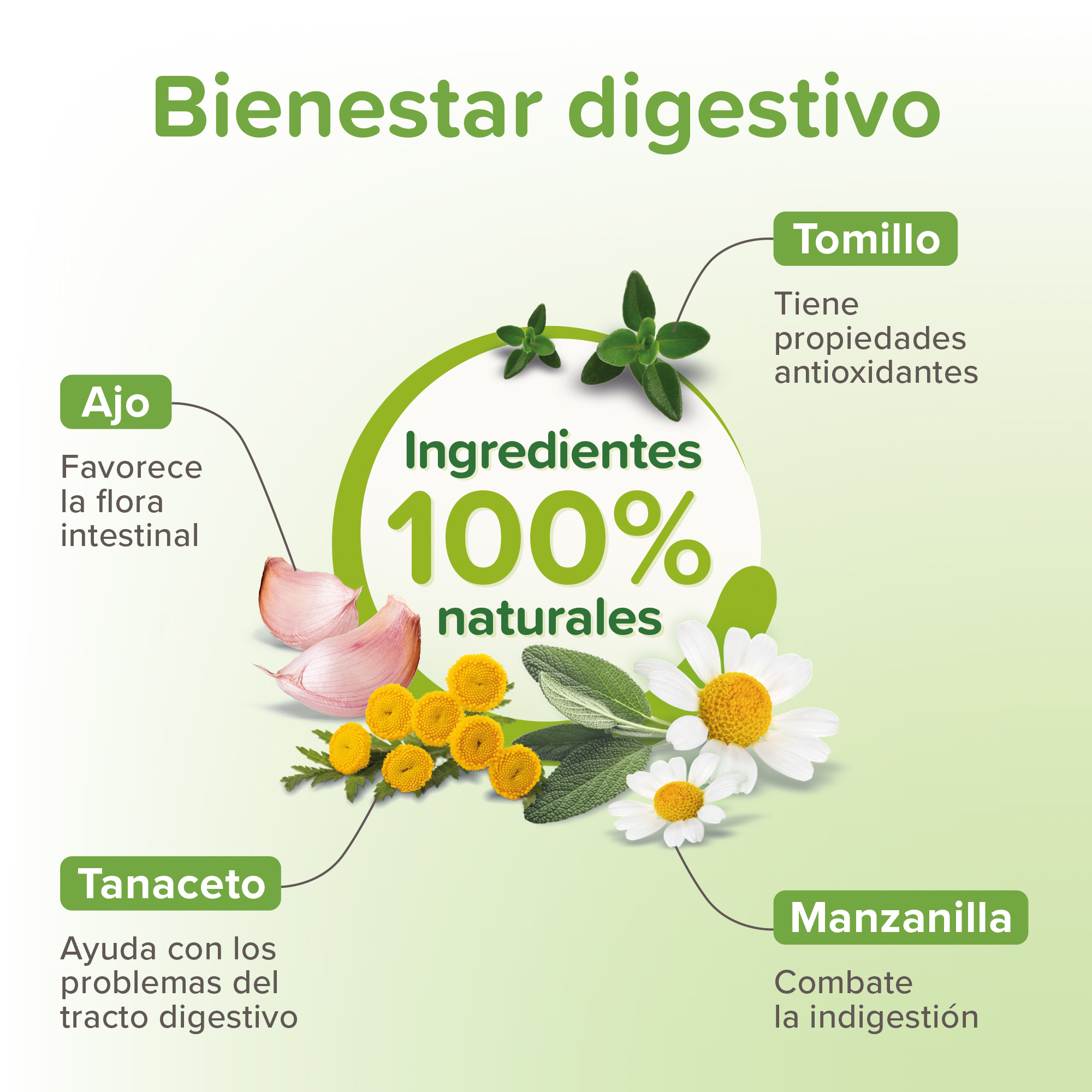 Beaphar VERMIpure Solución Líquida Natural Perros y Cachorros - 50ml